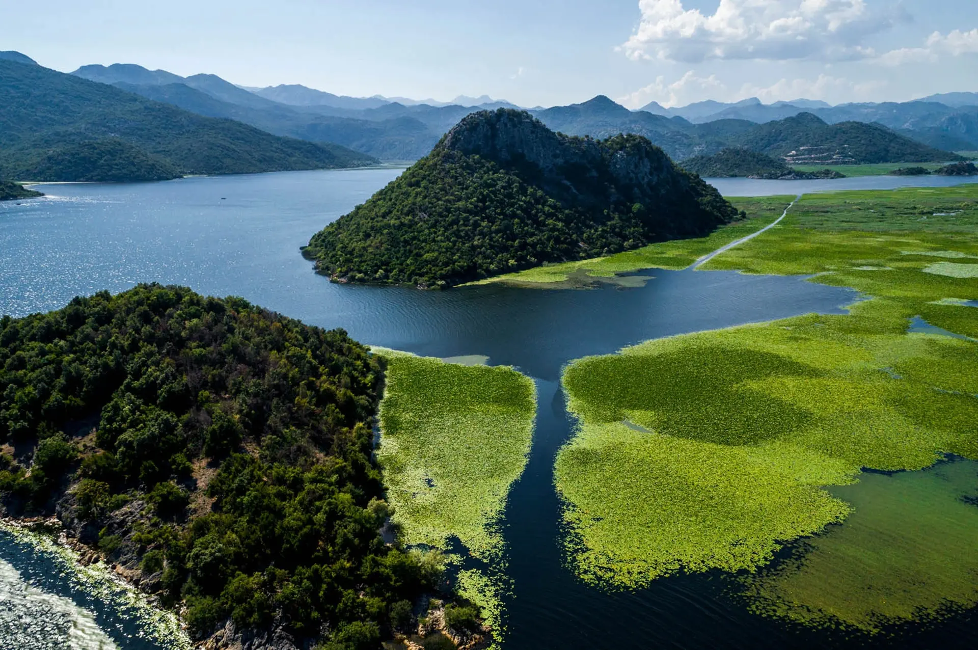 Shkodër